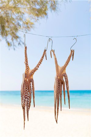 Octopuses hanging, tropical beach on background Photographie de stock - Premium Libres de Droits, Code: 6102-08885153