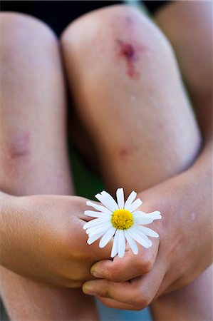 Boy with scrapes on knees holding ox-eye daisy flower Foto de stock - Sin royalties Premium, Código: 6102-08800415