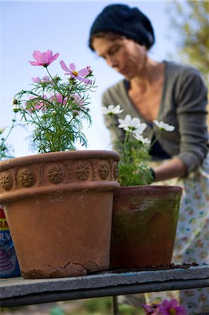 Woman planting in pots, Sweden. Photographie de stock - Premium Libres de Droits, Code: 6102-08800606