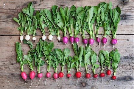 simsearch:6102-08942324,k - Colorful radish in row Foto de stock - Sin royalties Premium, Código: 6102-08942341