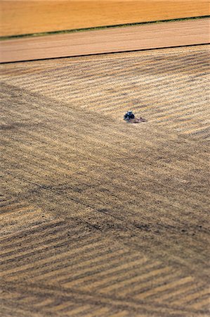 Tractor plowing field Stock Photo - Premium Royalty-Free, Code: 6102-08942326