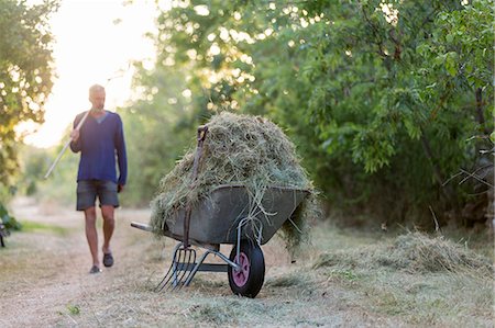 simsearch:6102-08270743,k - Farmer by wheel barrow with hay Photographie de stock - Premium Libres de Droits, Code: 6102-08942588
