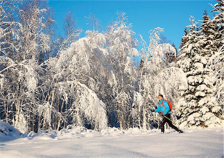 simsearch:6102-07158043,k - Man skiing in scenics forest Photographie de stock - Premium Libres de Droits, Code: 6102-08942634