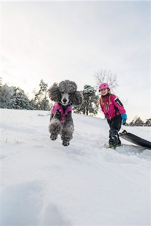 simsearch:6102-08748643,k - Poodle jumping, girl with sledge on background Foto de stock - Royalty Free Premium, Número: 6102-08951593