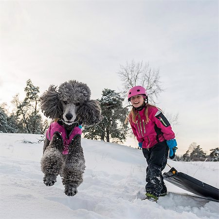 french poodle - Poodle jumping, girl with sledge on background Stock Photo - Premium Royalty-Free, Code: 6102-08951594