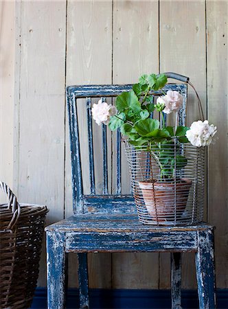 Potted geranium on chair Stock Photo - Premium Royalty-Free, Code: 6102-08951520