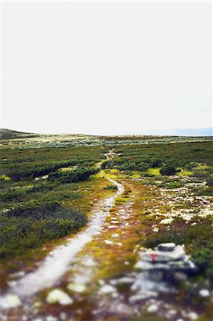 rondane national park - Path through remote landscape Photographie de stock - Premium Libres de Droits, Code: 6102-08951718