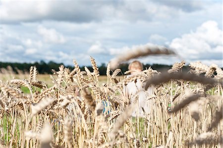 scarecrow farm - Wheat field Stock Photo - Premium Royalty-Free, Code: 6102-08951854