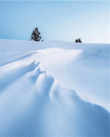 simsearch:6102-08063063,k - Winter landscape Fotografie stock - Premium Royalty-Free, Codice: 6102-08994708