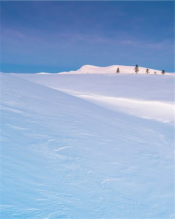 simsearch:6102-08063063,k - Winter landscape Fotografie stock - Premium Royalty-Free, Codice: 6102-08994717