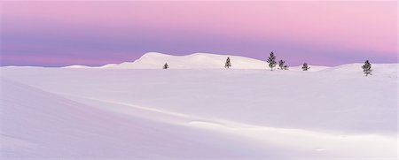 panoramic winter tree landscape - Winter landscape Stock Photo - Premium Royalty-Free, Code: 6102-08994715