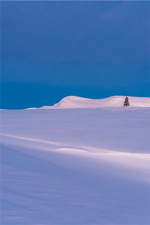 simsearch:6102-08996478,k - Winter landscape Photographie de stock - Premium Libres de Droits, Code: 6102-08994718