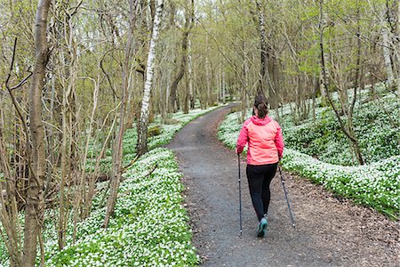 simsearch:6102-07790142,k - Woman Nordic walking in spring forest Fotografie stock - Premium Royalty-Free, Codice: 6102-08994993