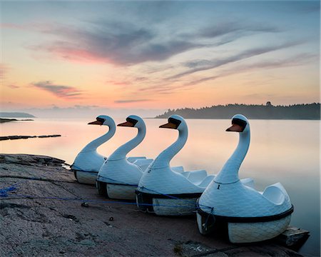 simsearch:6102-08641987,k - Swan boats at sunset Foto de stock - Sin royalties Premium, Código: 6102-08995057