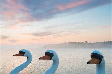 pedal boat - Swan boats at sunset Stock Photo - Premium Royalty-Free, Code: 6102-08995058