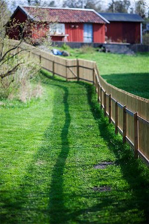 divisé - Shadow of wooden fence on meadow Photographie de stock - Premium Libres de Droits, Code: 6102-08996060