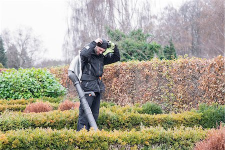 Gardener with leaf blower Stock Photo - Premium Royalty-Free, Code: 6102-08996249