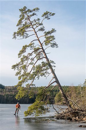 Man ice-skating near a tree Photographie de stock - Premium Libres de Droits, Code: 6102-08996214