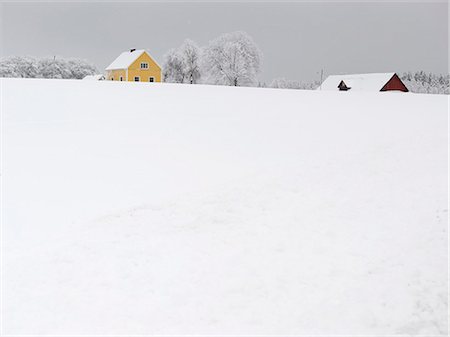 simsearch:6102-08063063,k - Winter landscape with snow covering houses Fotografie stock - Premium Royalty-Free, Codice: 6102-08996674