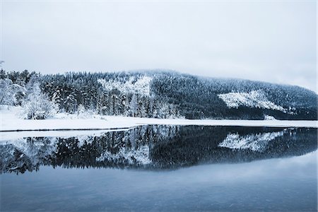 simsearch:6102-08996612,k - Winter forest reflecting in lake Stock Photo - Premium Royalty-Free, Code: 6102-08996604