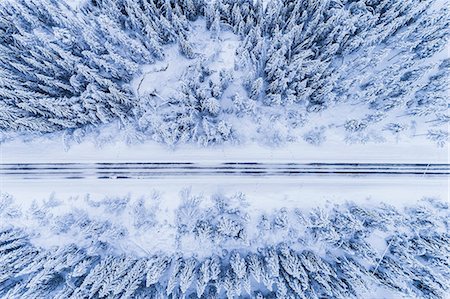 snow road horizon - Winter road through forest Foto de stock - Sin royalties Premium, Código: 6102-08996611