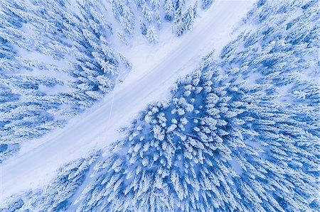 road aerial view - Winter road through forest Stock Photo - Premium Royalty-Free, Code: 6102-08996612