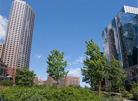 Low angle view of buildings in a city, Boston, Massachusetts, USA Foto de stock - Sin royalties Premium, Código: 6105-05395925