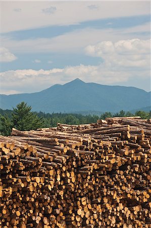 Stack of logs in a forest, Berlin, New Hampshire, USA Foto de stock - Sin royalties Premium, Código: 6105-05396386