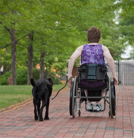 fiable - Femme avec une sclérose en plaques dans un parc avec un chien d'assistance Photographie de stock - Premium Libres de Droits, Code: 6105-05396332