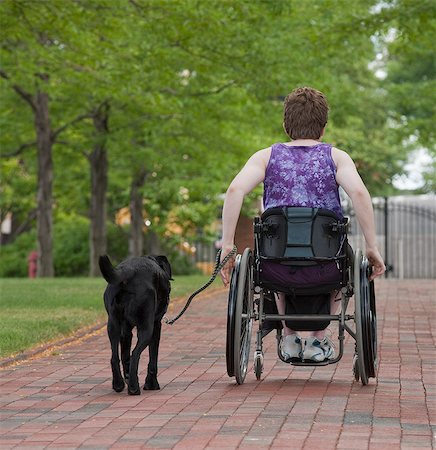 Femme avec une sclérose en plaques dans un parc avec un chien d'assistance Photographie de stock - Premium Libres de Droits, Code: 6105-05396332