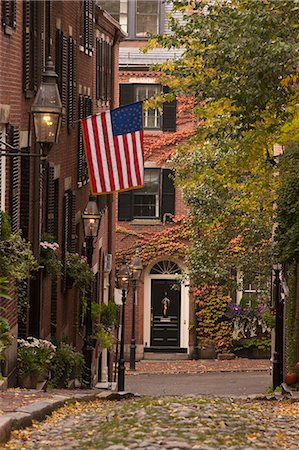 rue acorn - Rue de gland pendant Halloween, Boston, Massachusetts, USA Photographie de stock - Premium Libres de Droits, Code: 6105-05396662