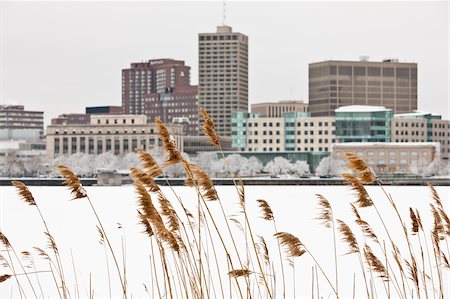 Reeds with city at waterfront in the background, Charles River, Kendall Square, Cambridge, Middlesex County, Massachusetts, USA Stock Photo - Premium Royalty-Free, Code: 6105-05397179