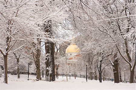 Snow covered arbres devant un bâtiment public, Boston Common, Massachusetts State Capitol, Boston, Massachusetts, USA Photographie de stock - Premium Libres de Droits, Code: 6105-05397308