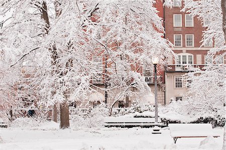 simsearch:6105-07521329,k - Snow covered trees in a public park, Boston Public Garden, Beacon Street, Boston, Massachusetts, USA Stock Photo - Premium Royalty-Free, Code: 6105-05397311