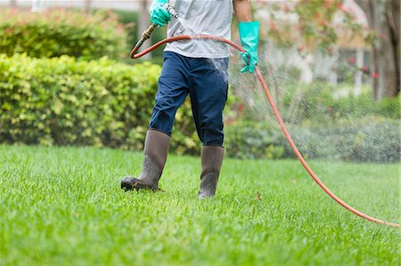 Pest control technician using high pressure spray gun and hose with heavy duty gloves Foto de stock - Sin royalties Premium, Código: 6105-06702854