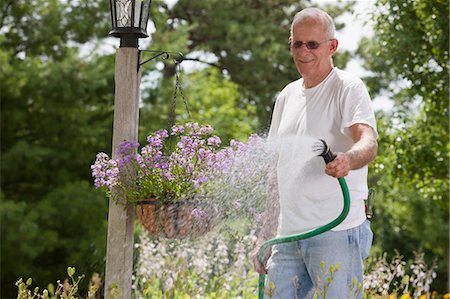 Senior man watering viburnum flowers in lamp post flower basket Stock Photo - Premium Royalty-Free, Code: 6105-06703033