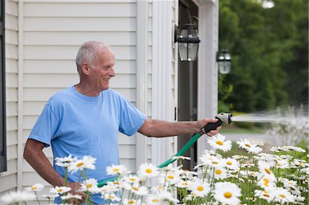 simsearch:6105-06703035,k - Senior man watering daisies in outdoor garden Stock Photo - Premium Royalty-Free, Code: 6105-06703037