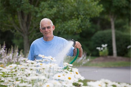 Senior man watering daisies in outdoor garden Fotografie stock - Premium Royalty-Free, Codice: 6105-06703036