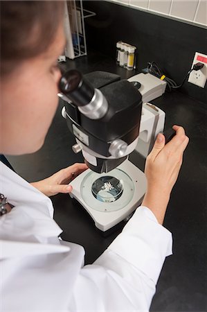 simsearch:6102-06470905,k - Laboratory scientist using microscope to examine bacterial culture in water treatment lab Fotografie stock - Premium Royalty-Free, Codice: 6105-06703136