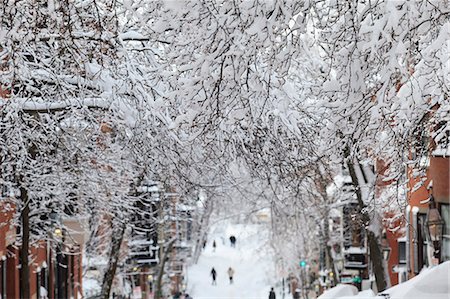 suffolk county - Street view after blizzard in Boston, Suffolk County, Massachusetts, USA Foto de stock - Sin royalties Premium, Código: 6105-07521329