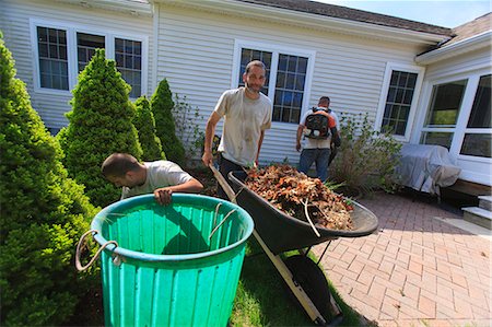 Landscapers clearing weeds into a bin at a home garden and carrying them away in a wheelbarrow Stock Photo - Premium Royalty-Free, Code: 6105-07521426