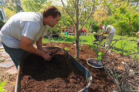 simsearch:6105-07521418,k - Landscaper mulching a garden using a wheelbarrow Fotografie stock - Premium Royalty-Free, Codice: 6105-07521429