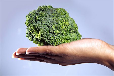 Close-up of a palm holding broccoli Stock Photo - Premium Royalty-Free, Code: 6107-06117465