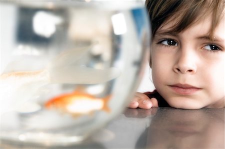 fish bowl - Little boy and aquarium Stock Photo - Premium Royalty-Free, Code: 6108-05856074