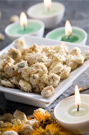 Sécher les fleurs de camomille et de bougies, gros plan Photographie de stock - Premium Libres de Droits, Code: 6108-05857253