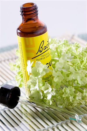 Bach flowers and essential oil, close-up Stock Photo - Premium Royalty-Free, Code: 6108-05857210
