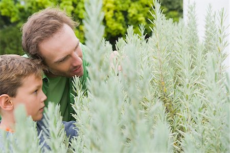father son gardening - Man and his son examining plants Stock Photo - Premium Royalty-Free, Code: 6108-05865885