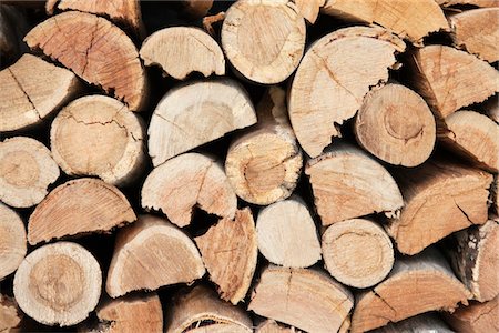 Close-up of a stack of firewood Stock Photo - Premium Royalty-Free, Code: 6108-05866381