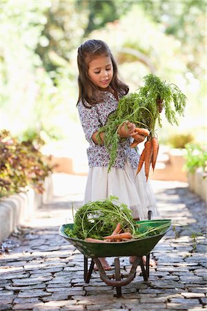 Cute girl putting carrots in a wheelbarrow Stock Photo - Premium Royalty-Free, Code: 6108-05869506
