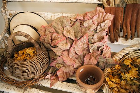 Leaves with flowers and basket on a bench Stock Photo - Premium Royalty-Free, Code: 6108-05869757